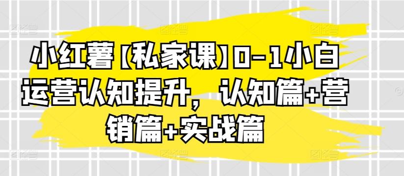 小红薯【私家课】0-1小白运营认知提升，认知篇+营销篇+实战篇_就是爱分享