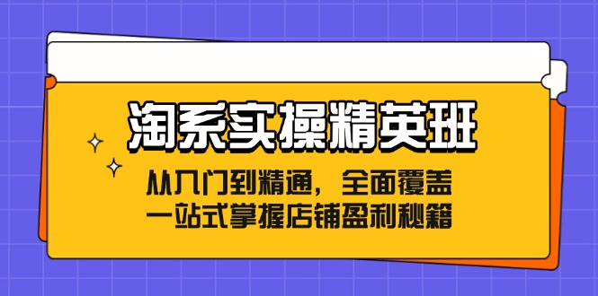淘系实操精英班：从入门到精通，全面覆盖，一站式掌握店铺盈利秘籍_就是爱分享