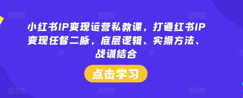 小红书IP变现运营私教课，打通红书IP变现任督二脉，底层逻辑、实操方法、战训结合_就是爱分享