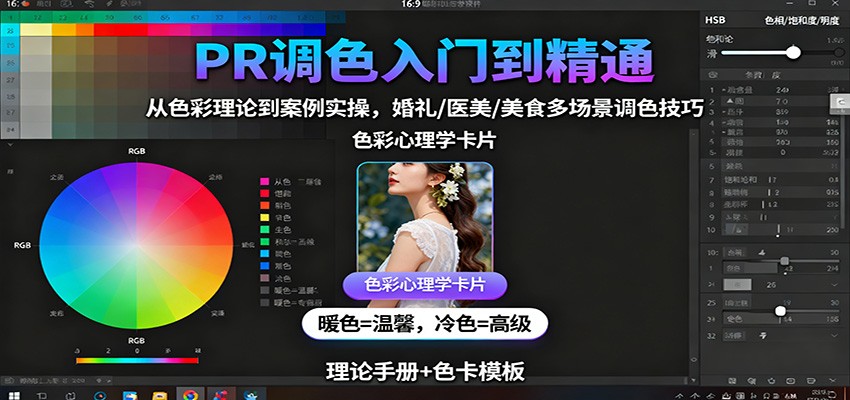 PR调色入门到精通：从色彩理论到案例实操，婚礼/医美/美食多场景调色技巧_就是爱分享