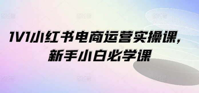 1V1小红书电商运营实操课，新手小白必学课_就是爱分享