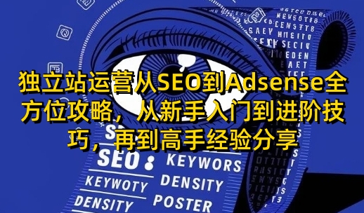 独立站运营从SEO到Adsense全方位攻略，从新手入门到进阶技巧，再到高手经验分享_就是爱分享