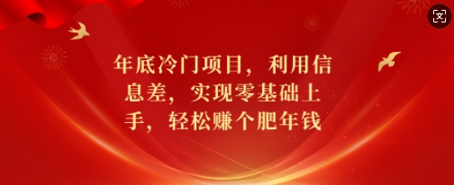 年底冷门项目，利用信息差，实现零基础上手，轻松赚个肥年钱【揭秘】_就是爱分享