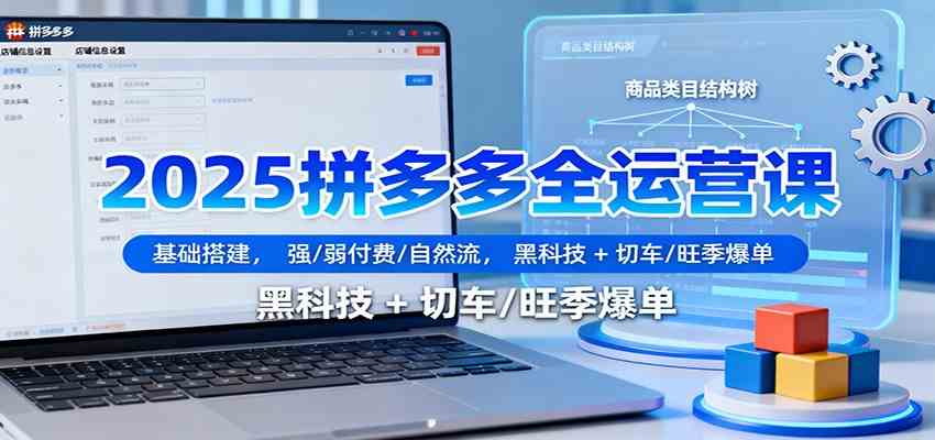 2025拼多多全运营课:基础搭建,强/弱付费/自然流,黑科技 + 切车/旺季爆单_就是爱分享