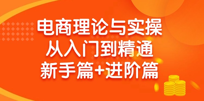 (9576期)电商理论与实操从入门到精通 新手篇+进阶篇_就是爱分享