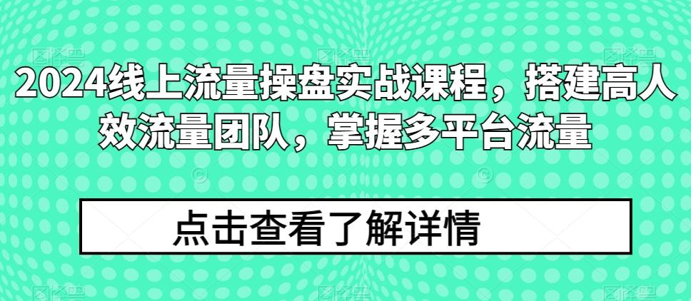 2024线上流量操盘实战课程，搭建高人效流量团队，掌握多平台流量_就是爱分享