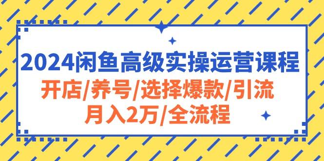 2024闲鱼高级实操运营课程：开店/养号/选择爆款/引流/月入2万/全流程_就是爱分享