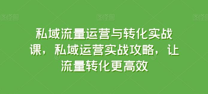 私域流量运营与转化实战课，私域运营实战攻略，让流量转化更高效_就是爱分享