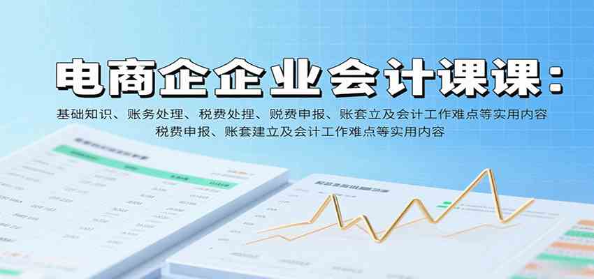 电商企业会计课：基础知识、账务处理、税费申报、账套建立及会计工作难点等实用内容_就是爱分享