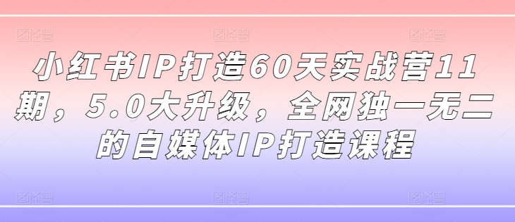 小红书IP打造60天实战营11期，5.0大升级，全网独一无二的自媒体IP打造课程_就是爱分享