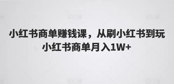 小红书商单赚钱课，从刷小红书到玩小红书商单月入1W+_就是爱分享