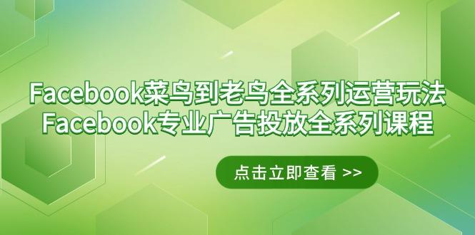Facebook-菜鸟到老鸟全系列运营玩法+Facebook-专业广告投放全系列课程_就是爱分享