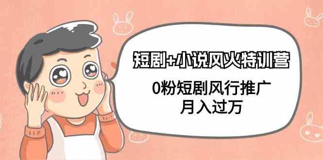 小说+短剧风火特训营，0粉短剧小说风行推广，实现月入过万_就是爱分享