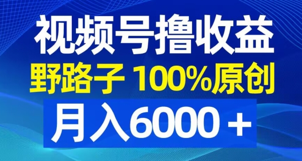 视频号野路子撸收益，100%原创，条条爆款，月入6000＋【揭秘】_就是爱分享