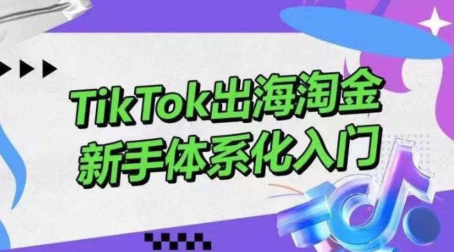 TikTok出海淘金，新手体系化入门，零基础快速入门，掌握短视频、直播带货等引流到变现的知识_就是爱分享