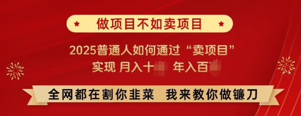 必看，做项目不如卖项目，2025普通人如何通过“卖项目”实现月入十个，年入百个_就是爱分享