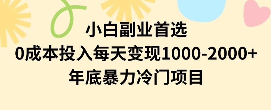 小白副业首选，0成本投入，每天变现1000-2000年底暴力冷门项目【揭秘】_就是爱分享