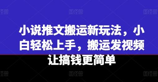 小说推文搬运新玩法，小白轻松上手，搬运发视频让搞钱更简单_就是爱分享