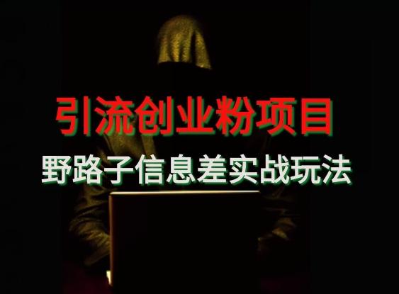 【引流创业粉】野路子信息差玩法实战教学_就是爱分享
