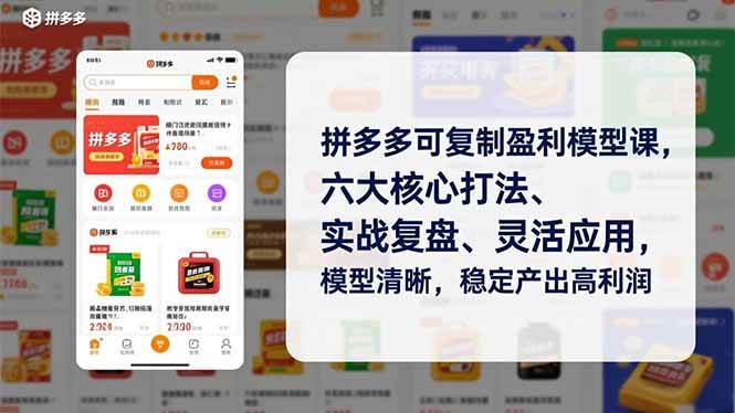 （16952期）拼多多可复制盈利模型课，六大核心打法、实战复盘、灵活应用，模型清晰，稳定产出高利润_就是爱分享