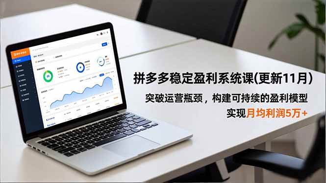 (16641期)拼多多稳定盈利系统课(更新11月),突破运营瓶颈,构建可持续的盈利模型,实现月均利润5万+_就是爱分享