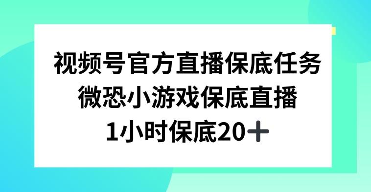 视频号直播任务，微恐小游戏，1小时20+【揭秘】_就是爱分享