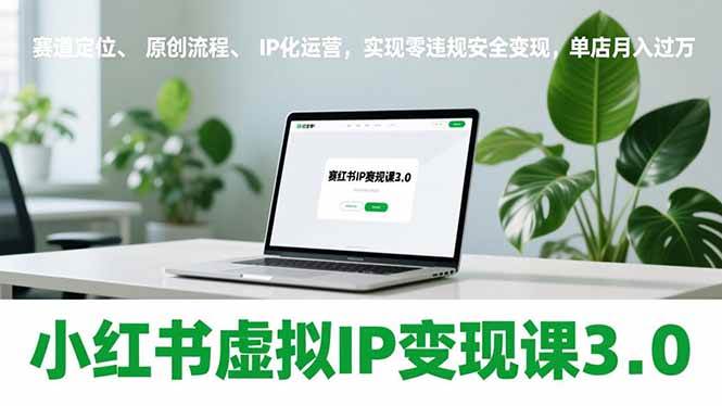 （17029期）小红书虚拟IP变现课3.0，赛道定位、原创流程、IP化运营，实现零违规安全变现，单店月入过万_就是爱分享
