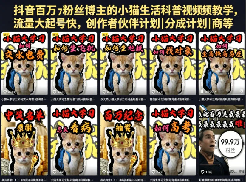 抖音百万粉丝博主的小猫生活科普视频教学,流量大起号快,创作者伙伴计划|分成计划|商单|收徒等_一起云网创
