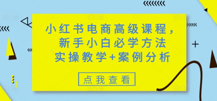 小红书电商高级课程，新手小白必学方法，实操教学+案例分析_就是爱分享