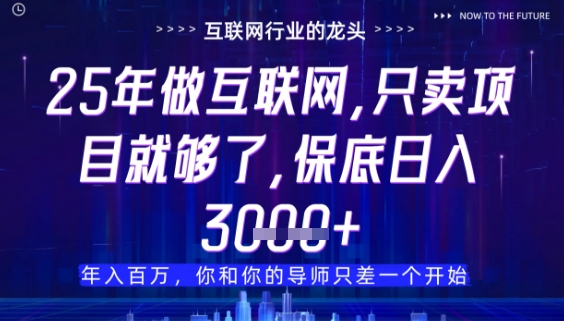 什么！25年你还在找项目做？风口早就变了，卖项目才是稳挣不赔【揭秘】_就是爱分享