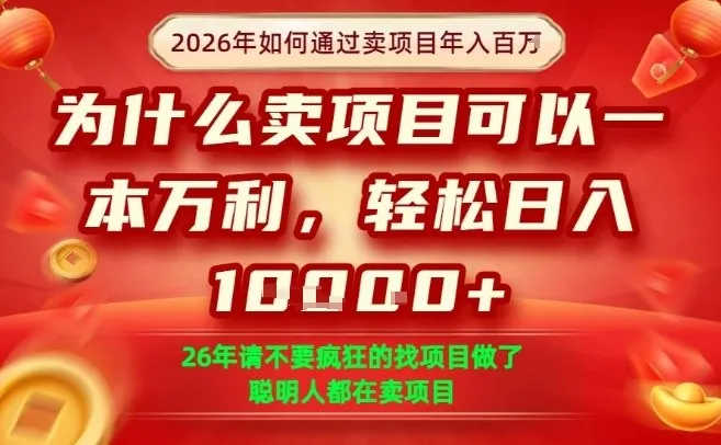 一单净利润1K+，26年想年入100个W，死磕卖项目就够了【揭秘】_就是爱分享
