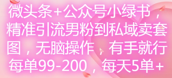 微头条+公众号小绿书，精准引流男粉到私域卖套图，无脑操作，有手就行，每单99-200，每天5单_就是爱分享