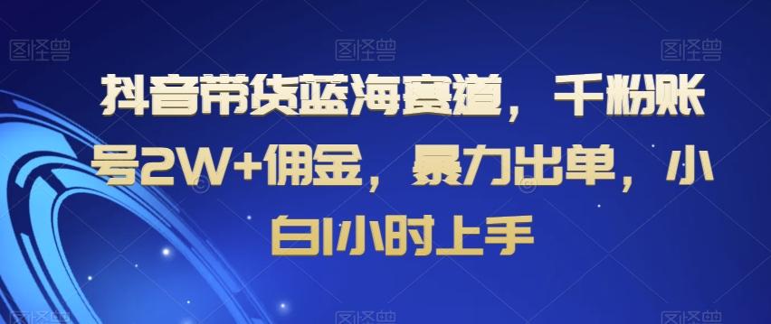 抖音带货蓝海赛道，千粉账号2W+佣金，暴力出单，小白1小时上手【揭秘】_就是爱分享