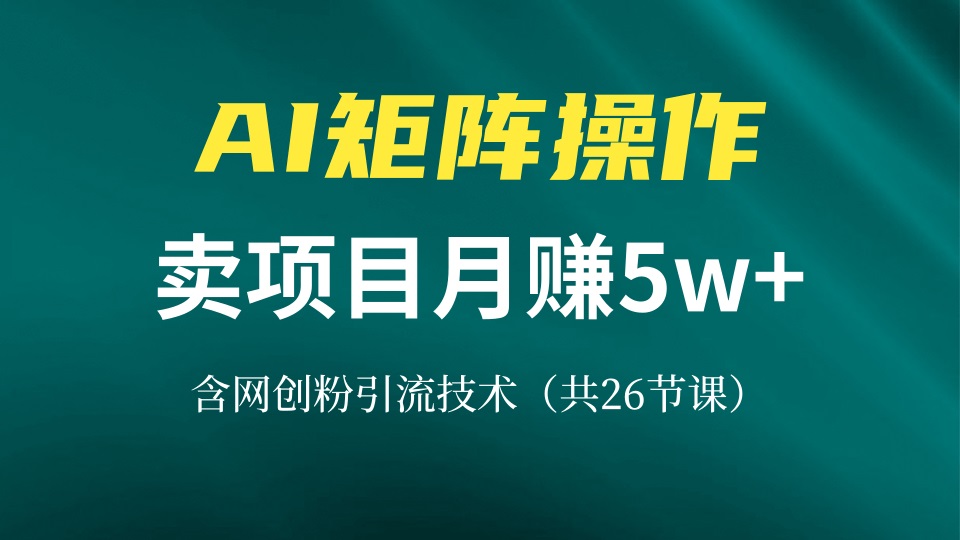 网创IP打造课，借助AI卖项目月赚5万+，含引流技术(共26节课_就是爱分享
