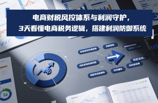 电商财税风控体系与利润守护，3天看懂电商税务逻辑，搭建利润防御系统_就是爱分享