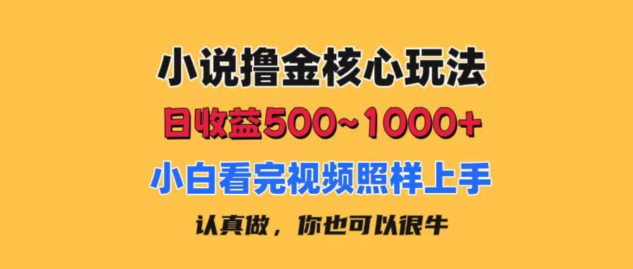 小说撸金核心玩法，日收益500-1000+，小白看完照样上手，0成本有手就行_就是爱分享