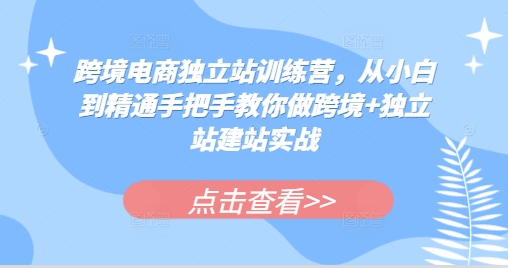 跨境电商独立站训练营，从小白到精通手把手教你做跨境+独立站建站实战_就是爱分享