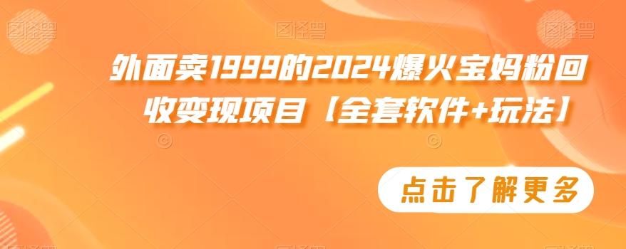 外面卖1999的2024爆火宝妈粉回收变现项目【全套软件+玩法】【揭秘】_就是爱分享