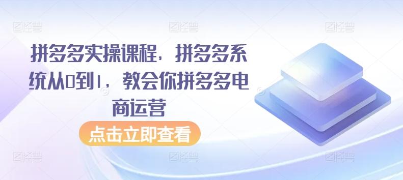 拼多多实操课程,拼多多系统从0到1,教会你拼多多电商运营_就是爱分享