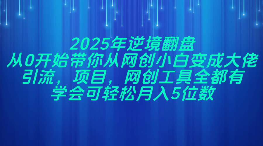2025年逆境翻盘，从0开始带你从网创小白变成大佬，引流，项目，网创工..._就是爱分享