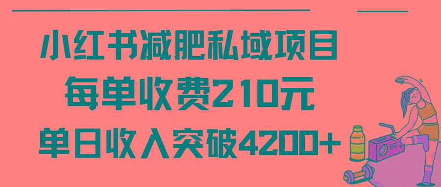 (9466期)小红书减肥私域项目每单收费210元单日成交20单，最高日入4200+_就是爱分享