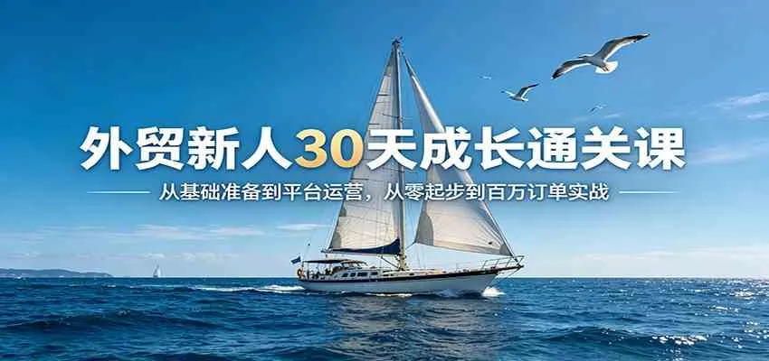 外贸新人30天成长通关课:从基础准备到平台运营,从零起步到百万订单实战_就是爱分享