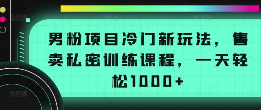 男粉项目冷门新玩法，售卖私密训练课程，一天轻松1000+【揭秘】_就是爱分享
