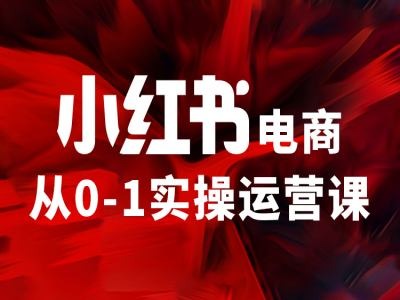 小红书电商从0-1实操运营课，让你从小白到精英_就是爱分享