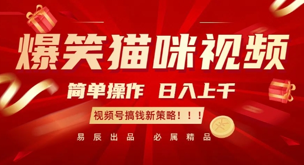 爆笑猫咪视频：简单操作，日入过K，视频号搞钱新策略【揭秘】_就是爱分享