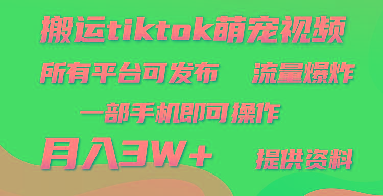 (9618期)搬运Tiktok萌宠类视频，一部手机即可。所有短视频平台均可操作，月入3W+_就是爱分享