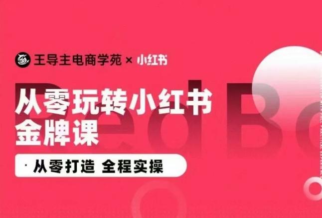 王导主·小红书电商运营实操课，​从零打造  全程实操_就是爱分享