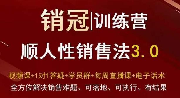 爆款！销冠训练营3.0之顺人性销售法，全方位解决销售难题、可落地、可执行、有结果_就是爱分享