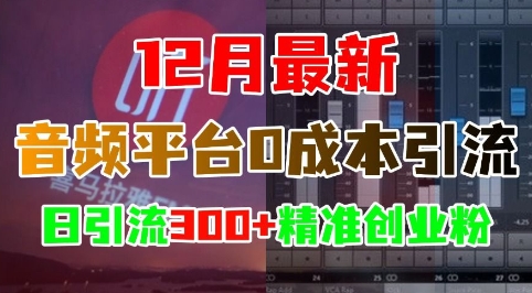 12月最新：音频平台0成本引流，日引流300+精准创业粉_就是爱分享