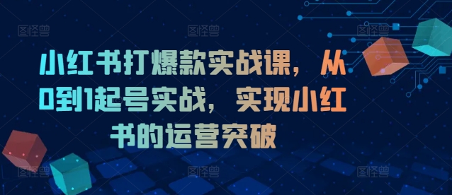 小红书打爆款实战课，从0到1起号实战，实现小红书的运营突破_就是爱分享